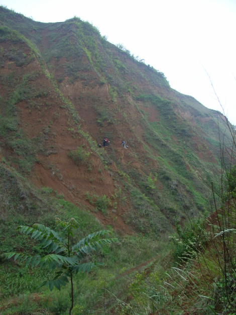 A picture of the site.